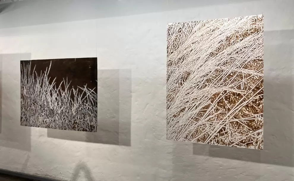 "todo alrededor MALEZA", muestra de Wolfgang Krauch en el CAV/Museo del Barro . Cortes�a