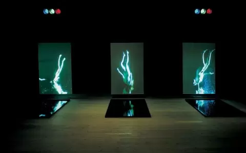 Bill Viola, Stations, 1994.