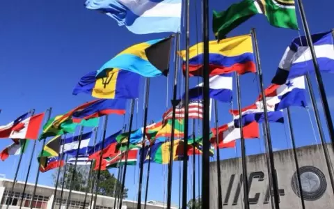 Pr�ximas elecciones en el IICA.