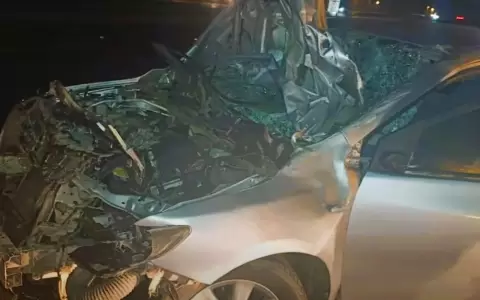 El Toyota Corolla color plata tambi�n impact� contra la vaca.