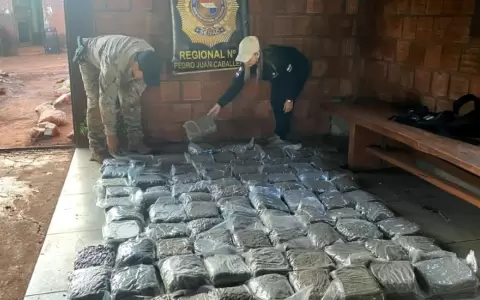Senad incauta marihuana de alta calidad en Amambay.