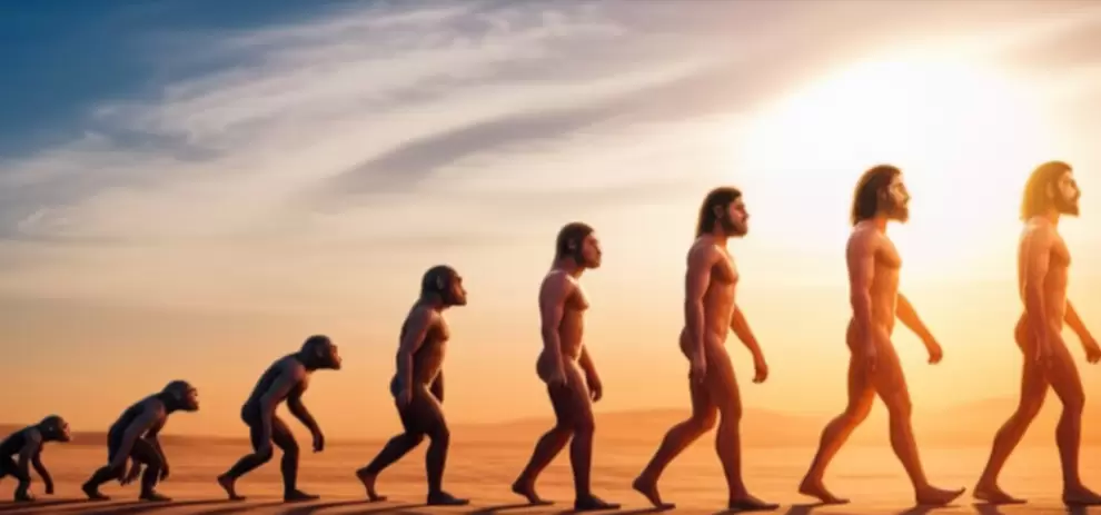 El an�lisis evolutivo del cuerpo humano evidencia la integraci�n de funciones y estructuras a lo largo del tiempo. Foto ilustrativa. Infobae.