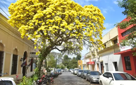 Nominado a Colosos de la Tierra 2025.