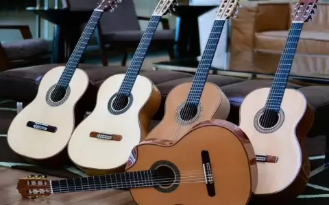 Guitarras Borja. Cortes�a