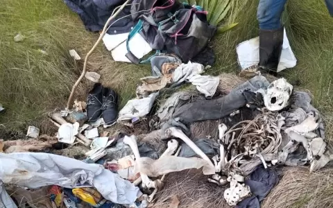 Expertos forenses determinar�n si se trata de restos humanos.