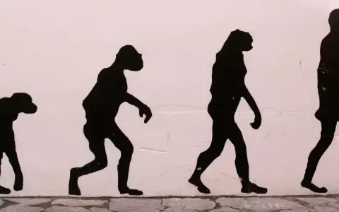 La pelvis sufri� modificaciones durante la evoluci�n que nos permitieron caminar erguidos.