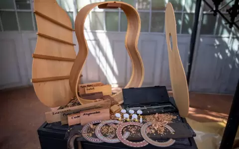 Obra de la muestra "La Guitarra, instrumento de la Guarania".