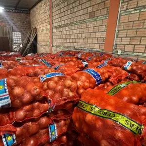DNIT incauta más de 41 toneladas de tomates y cebollas en Ñemby