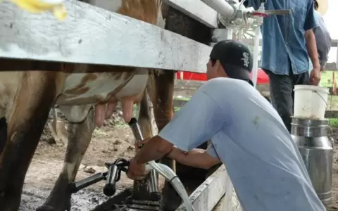 Industria l�ctea.