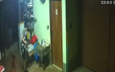 Video del joven robando dentro del complejo.