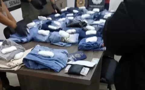 Cargamento estaba escondido entre jeans.