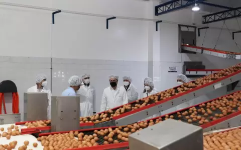 Alta oferta de producci�n de huevos en el pa�s.