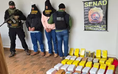 Marihuana "premium" en San Pedro.