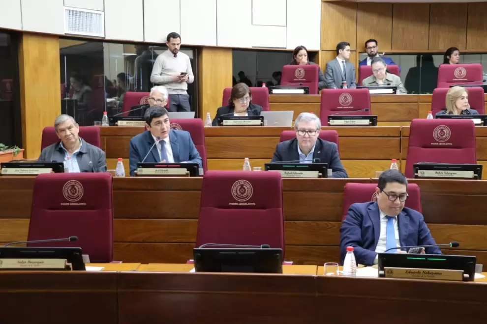 Sector opositor en el Senado.