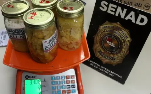 Marihuana tipo wax camuflada en alimentos asi�ticos.