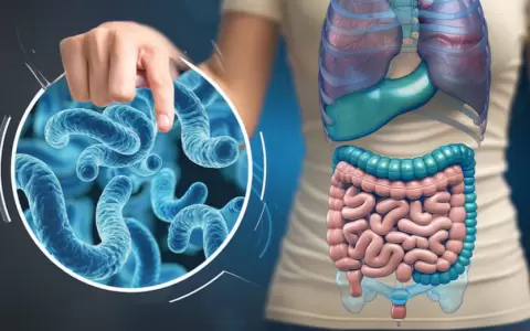Proteger el ecosistema intestinal es fundamental para mantener la salud integral a largo plazo.