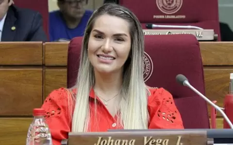 Diputada Johana Vega.