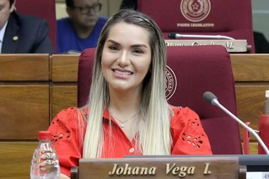 Diputada Johana Vega.