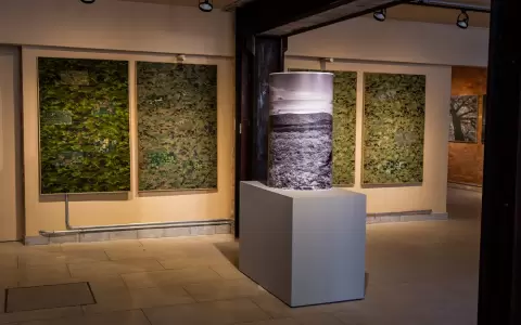 Obras de Fernando Allen.