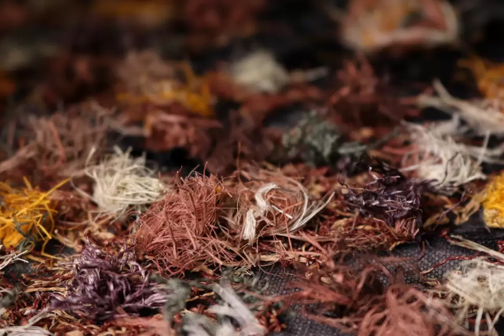 Rodrigo Gómez Spelt, obra que será exhibida en la muestra (detalle).