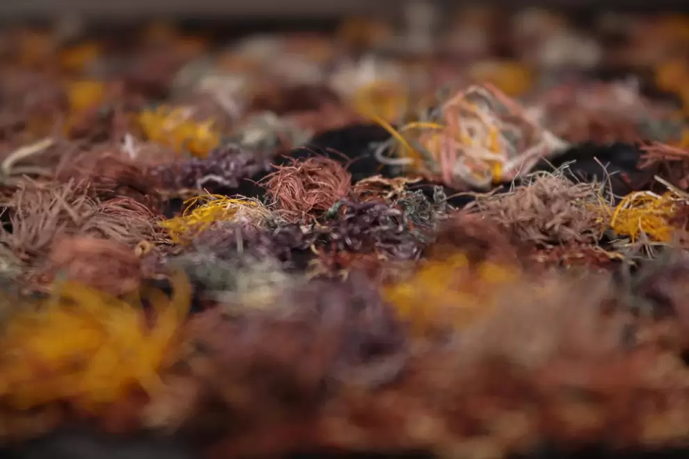 Rodrigo Gómez Spelt, obra que será exhibida en la muestra (detalle).