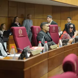 Senado, convertido una vez más en un circo político
