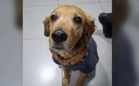 Rubio necesita de nuestra ayuda.