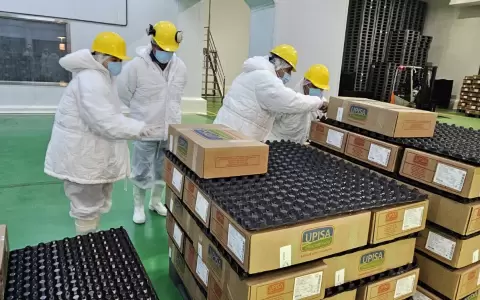 T�cnicos de Per� inspeccionan frigor�fico paraguayo.