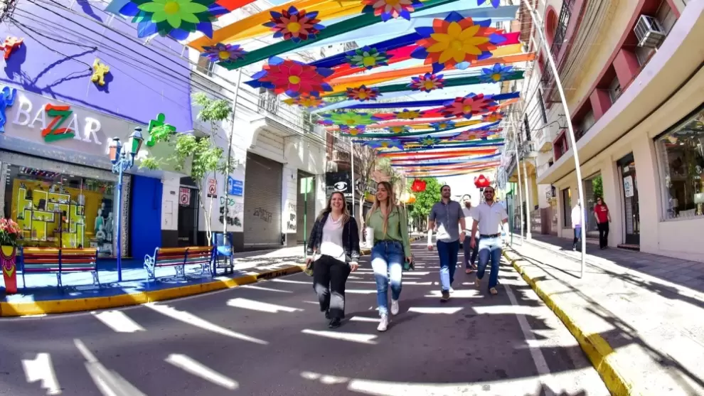 palma primavera.