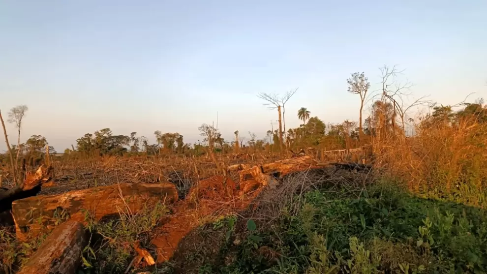 Una de las fotografías difundidas por el medio de prensa dan cuenta del desmonte en la reserva.