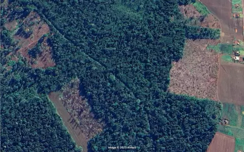 Imagen satelital de la deforestaci�n sufrida por la reserva natural.