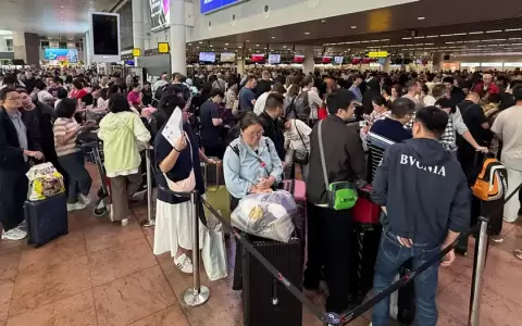 Largas filas en el Aeropuerto de Bruselas tras las cancelaciones y retrasos provocados por el ciberataque.