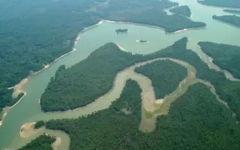 La majestuosa selva amaz�nica nos sigue sorprendiendo.