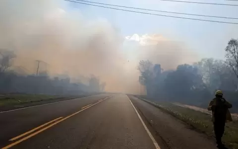 El incendio forestal en la Reserva Cerro Cor� fue apaciguado por las lluvias.