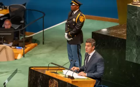 Santiago Pe�a ante la ONU.