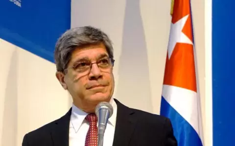 Vicecanciller del r�gimen de Cuba, Carlos Fern�ndez de Coss�o.