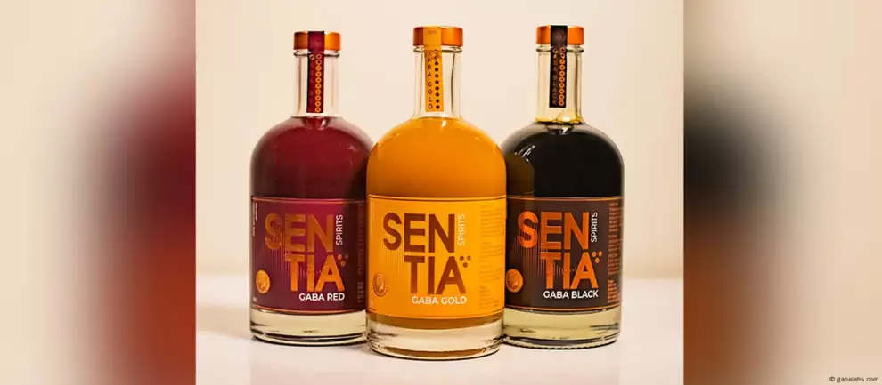Relajación, sociabilidad y cero resaca: así se presenta GABYR, la cerveza diseñada por neurocientíficos que imita los efectos del alcoho.