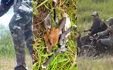 C�mara trampa detecta cazadores en reserva.