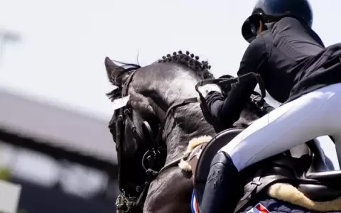 Americas Jumping Championship: una semana de talento ecuestre internacional en Paraguay