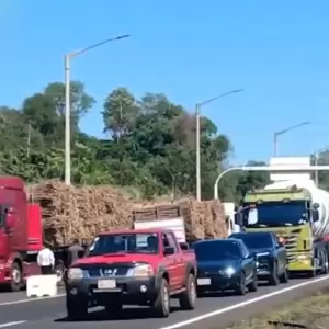Petropar compraría el 100% de la producción a cañicultores