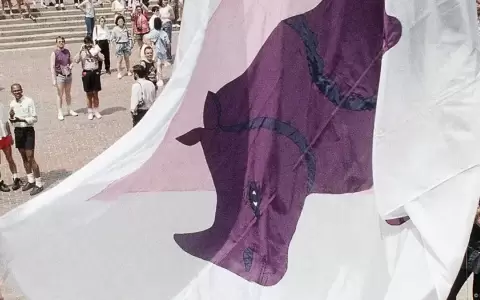 El color p�pura, y sus tonalidades violeta, lila o lavanda, es el color que ha acompa�ado la historia LGBTQ+.