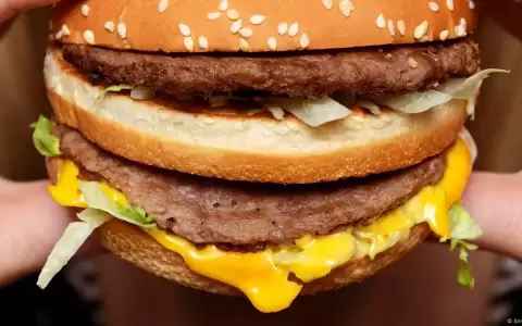 Alimento ultraprocesado: Hamburguesa.