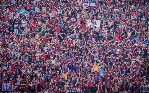 "No hay ni habr� jam�s una hinchada como la de Cerro Porte�o"