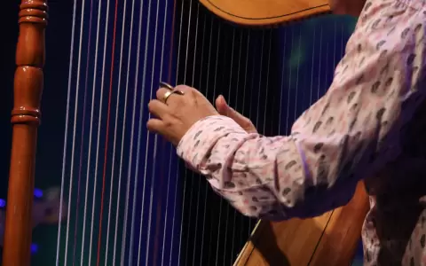 18� edici�n del Festival Mundial del Arpa.