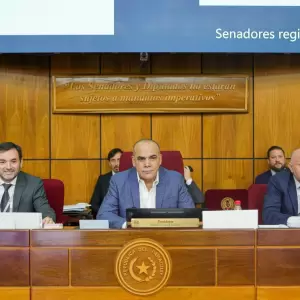 Senado se dispone a blindar su jubilaci�n vip con cambios cosm�ticos y beneficios intactos