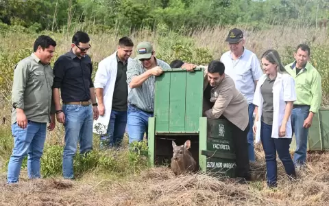 Animales silvestres fueron devueltos a su h�bitat.