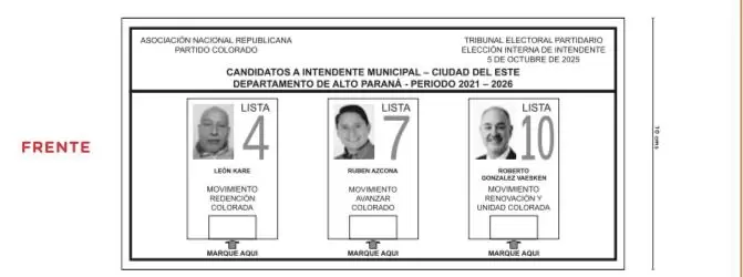 Precandidatos de la ANR.