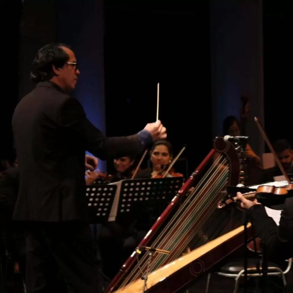 XVIII Festival Mundial del Arpa.(foto: ig)