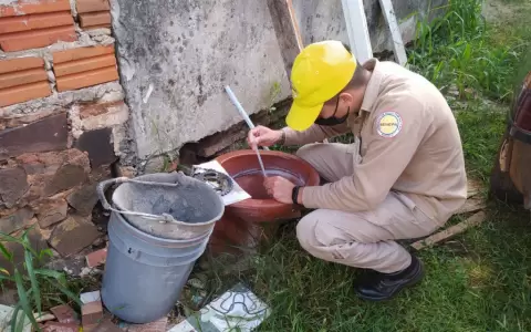 Desde Salud insisten en prevenir los criaderos de mosquitos para evitar nuevos brotes.