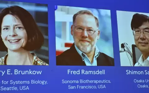 Mary E. Brunkow, Fred Ramsdell y Shimon Sakaguchi, galardonados con el Nobel de Medicina 2025.